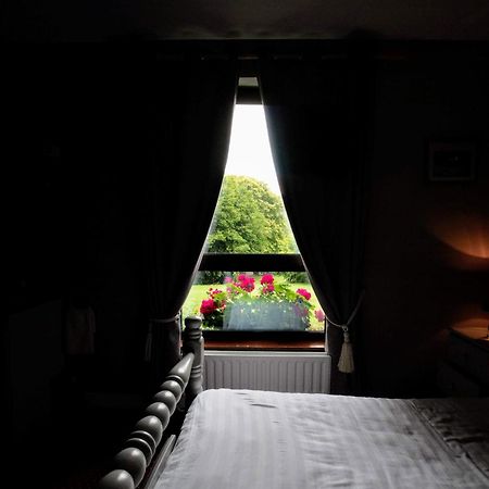 Abbey View Bed & Breakfast Голвей Екстер'єр фото