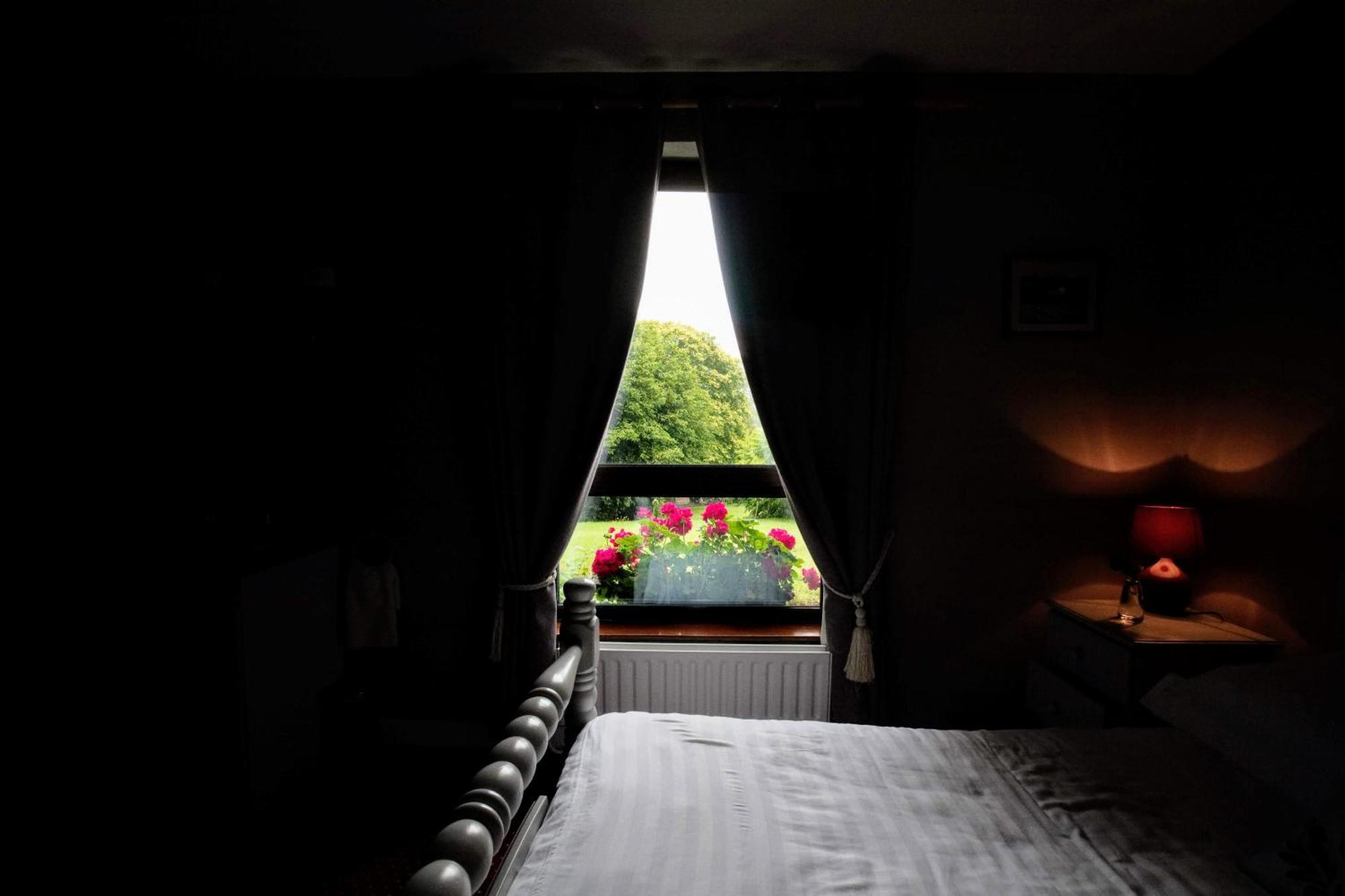 Abbey View Bed & Breakfast Голвей Екстер'єр фото